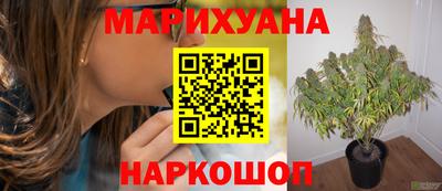 гашиш Лесосибирск