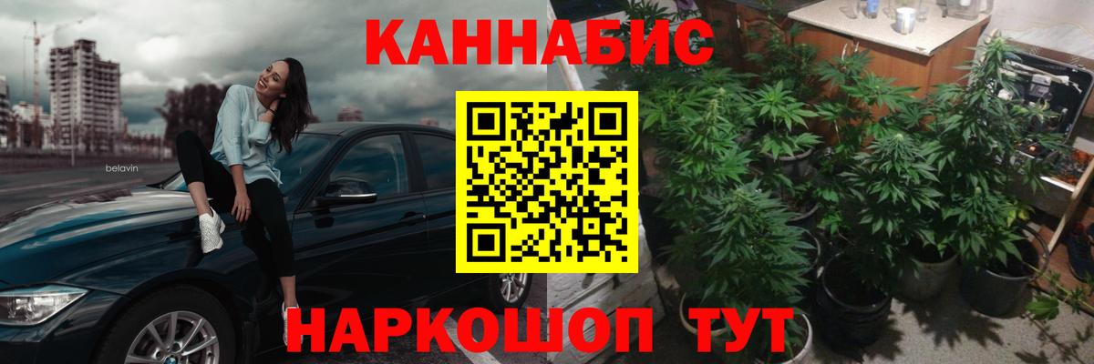 Каннабис семена Сунжа